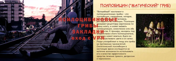 2c-b Алзамай