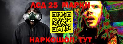 гидропоника Новокубанск