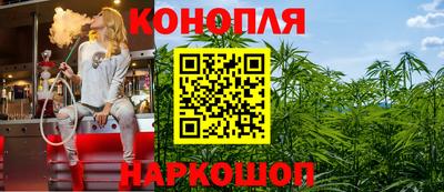 mdpv Новозыбков