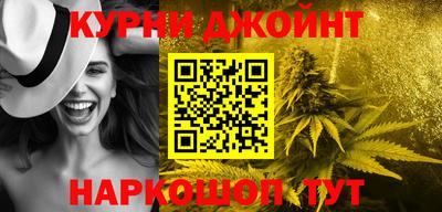 гашик Новодвинск
