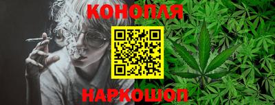 гидропоника Новокубанск