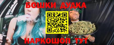 гашик Новодвинск